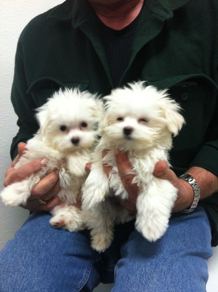 _Our first day with mom__